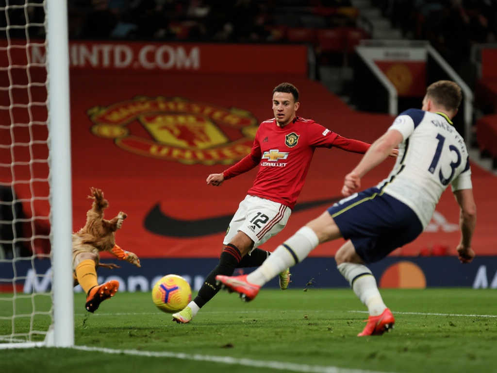 的足球战局 的足球战局